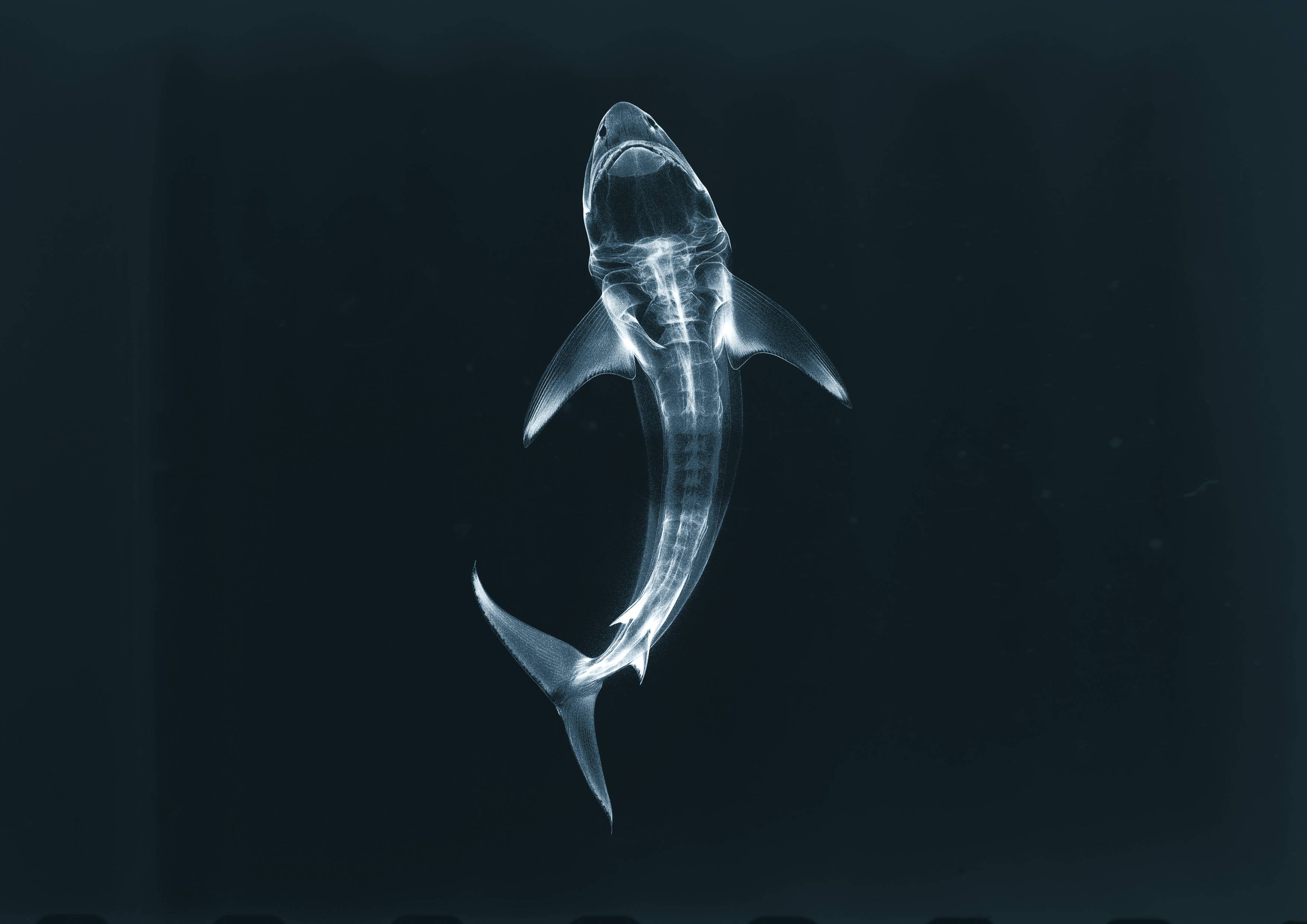 Hypnvault - Raindrops Multi Kit